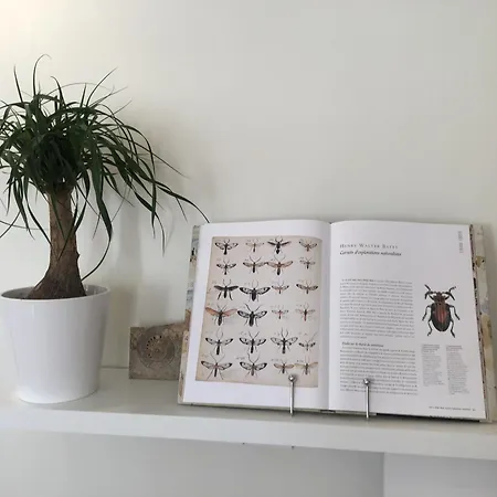 Coeur Vieille 公寓 拉罗歇尔